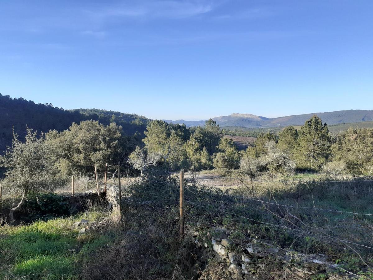 Quinta Das Lameirinhas Marvao  Bagian luar foto
