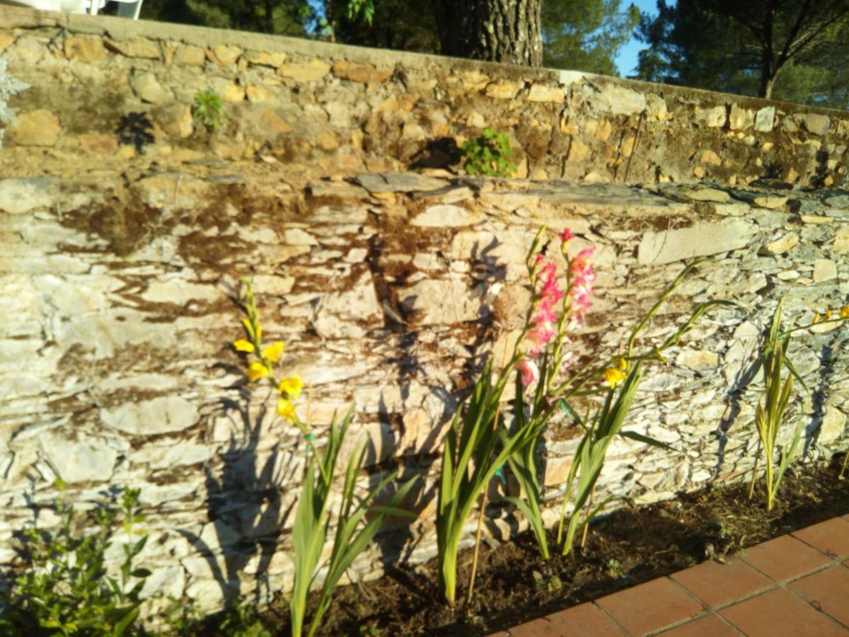 Quinta Das Lameirinhas Marvao  Bagian luar foto